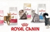 Sortiment și compoziție hrană pentru pisici royal canin