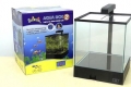 Aqua box betta acvariu: recenzii și recenzii