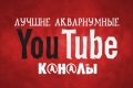 Canale youtube acvariu: cele mai bune dintre cele mai bune!