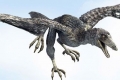 Archaeopteryx (lat. Archaeopteryx)