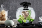 Acvariu tetra duo waterfall globe recenzie