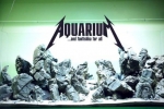 Hardscape - acvariul nostru totul!