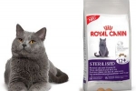 Recenzii royal canin pentru pisici